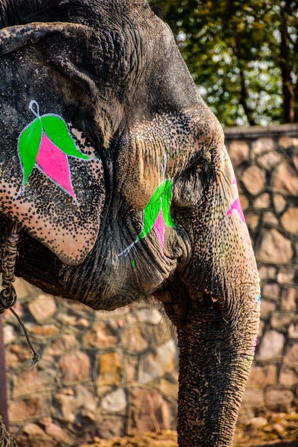 Hathi Mauja Jaipur Eksteriør bilde